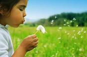 International-Child-Adoption-Statistics