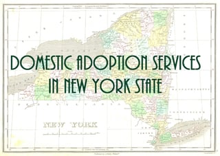 Domestic_Adoption_Services_in_New_York_State.jpg