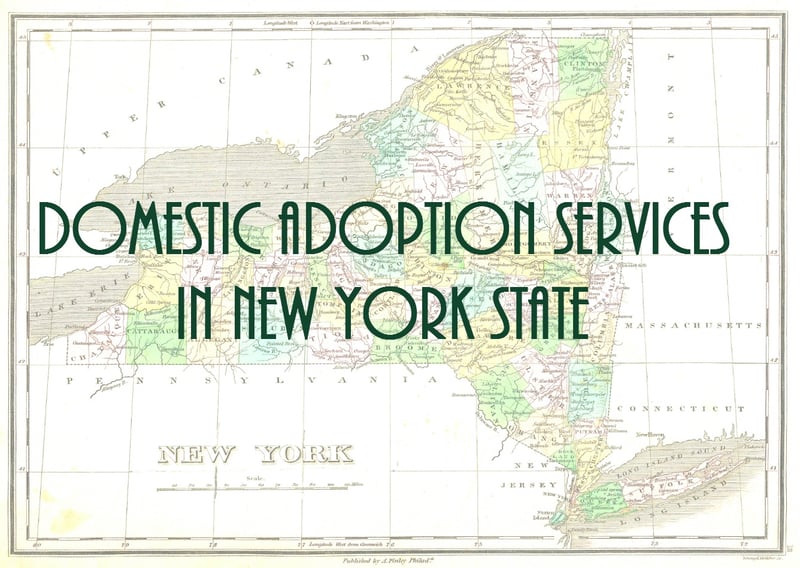 Domestic Adoption Services in New York State