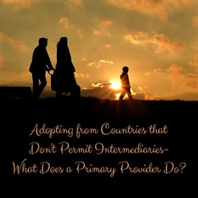 international_adoption_what_does_a_primary_provider_do.jpg