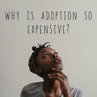 why_is_adoption_so_expensive.jpg