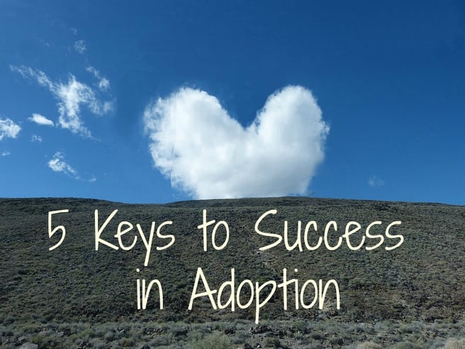 5 Keys to Success in Adoption