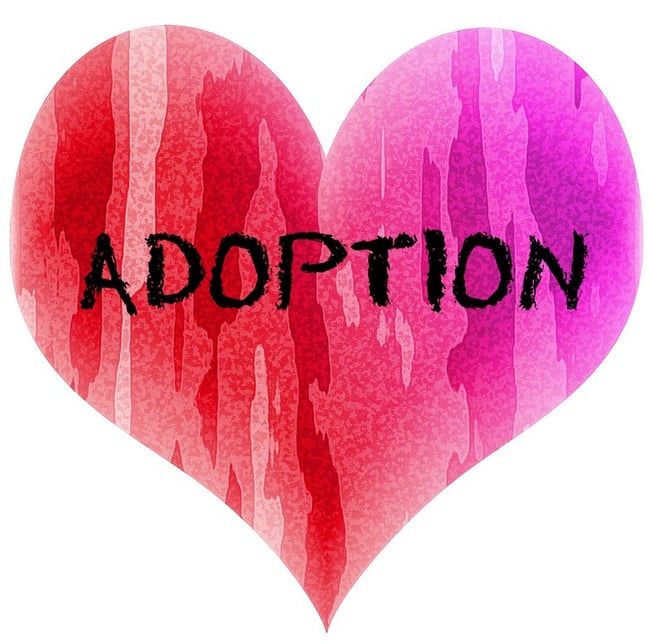 thinking-about-adoption-learn-your-options