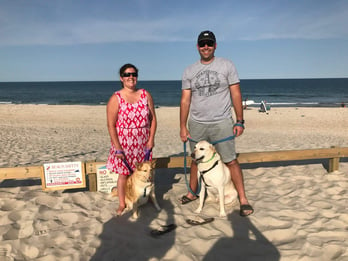 beach with dogs