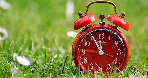 the-eleventh-hour-.jpg