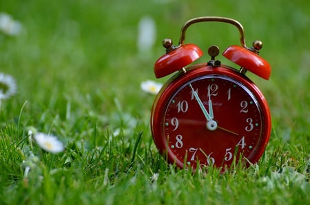 the-eleventh-hour-758723_960_720.jpg